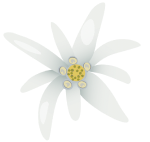 girl holding Jungfrau anti-aging cream