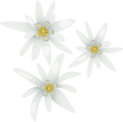 girl holding Jungfrau anti-aging cream